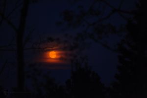 AlexMessenger Rising Moon, High Lake2122.jpg